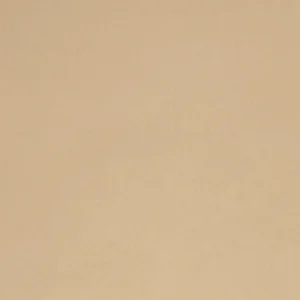 Minky uni Beige